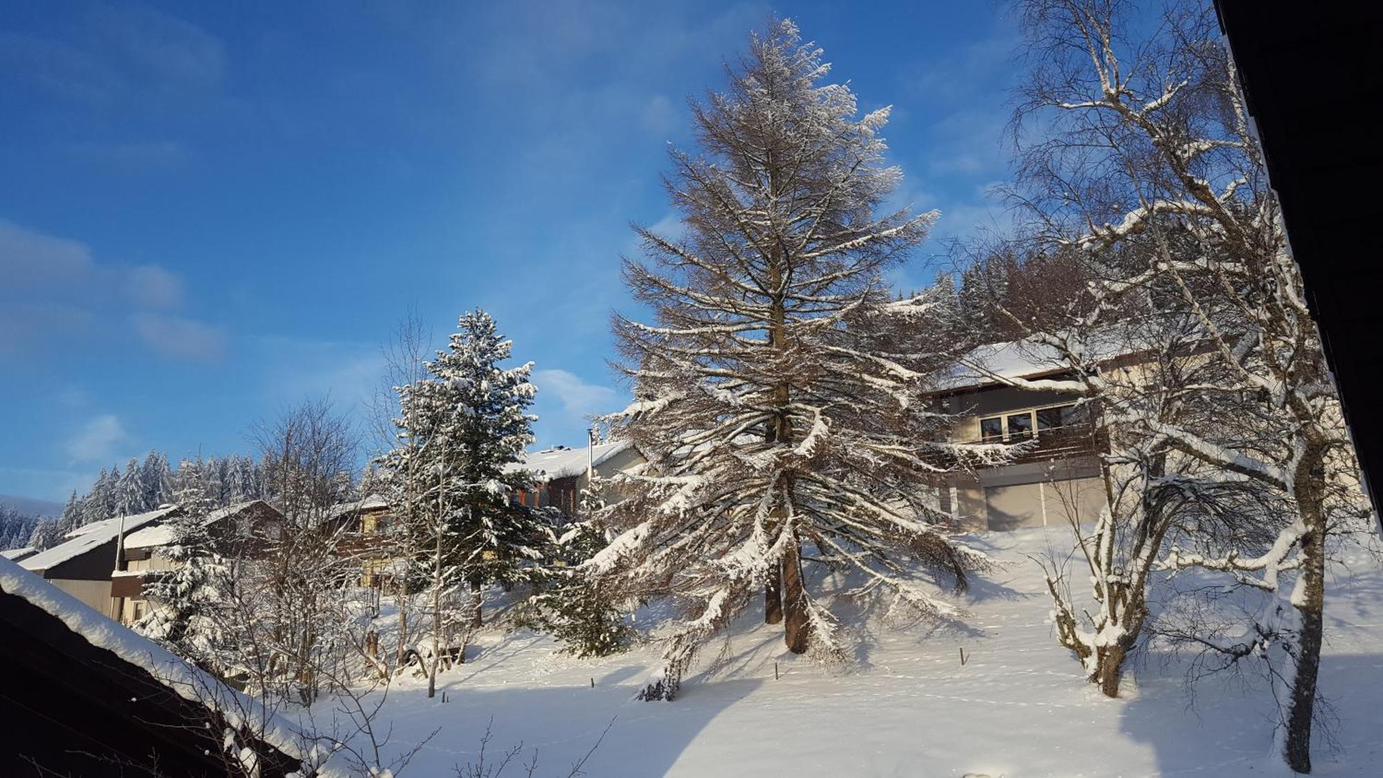 Ferienhaus Lucia, App.11 Schönwalde Esterno foto